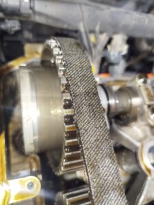 WhatsApp Image 2025 12 01 at 16.08.13 (1)