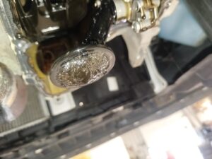 WhatsApp Image 2025 12 01 at 16.08.15 (3)